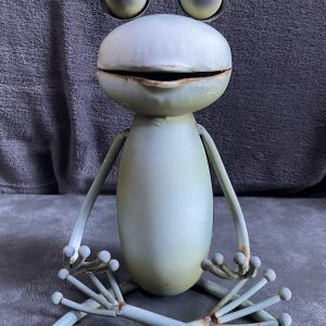 Metal Frog