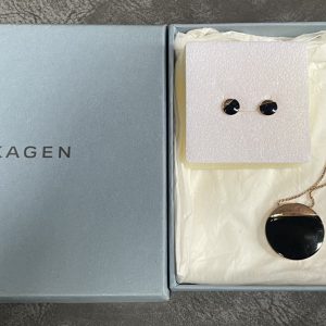 Skagen Disc Necklace with Matching Stud Earrings