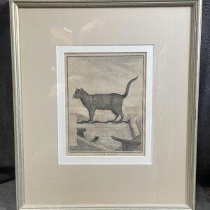 Le Chat des Chartreux ~ Jacques de Sève (1742-1788) - Book Page from 1776 Framed